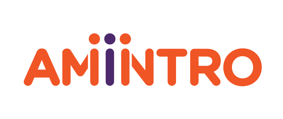 https://amintro.com/